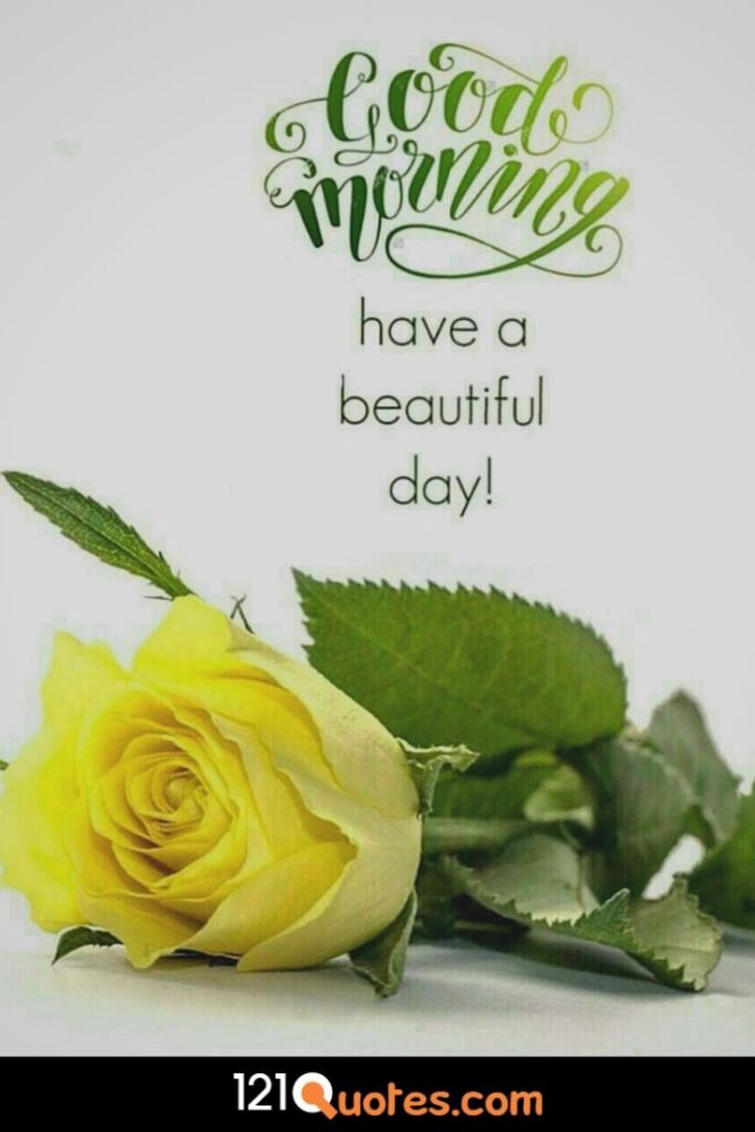 Good Morning Have a Beautiful Day image with Yellow Rose
