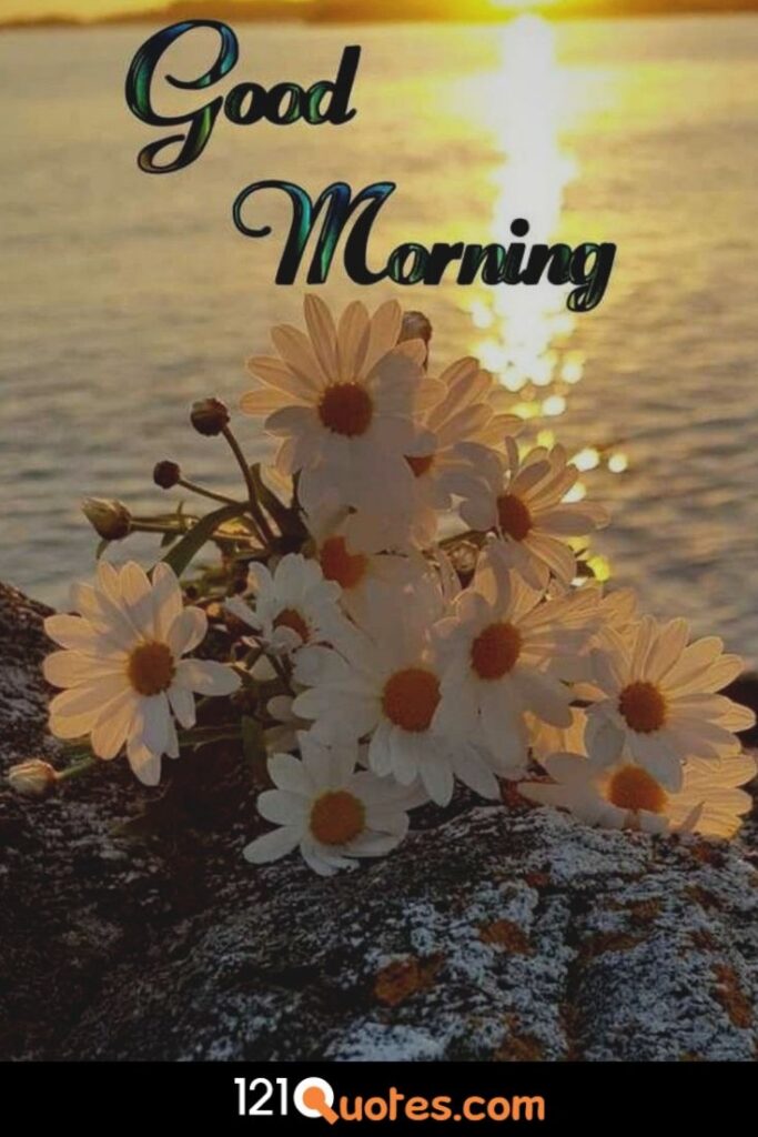 Good Morning images with sunrising and sun flower