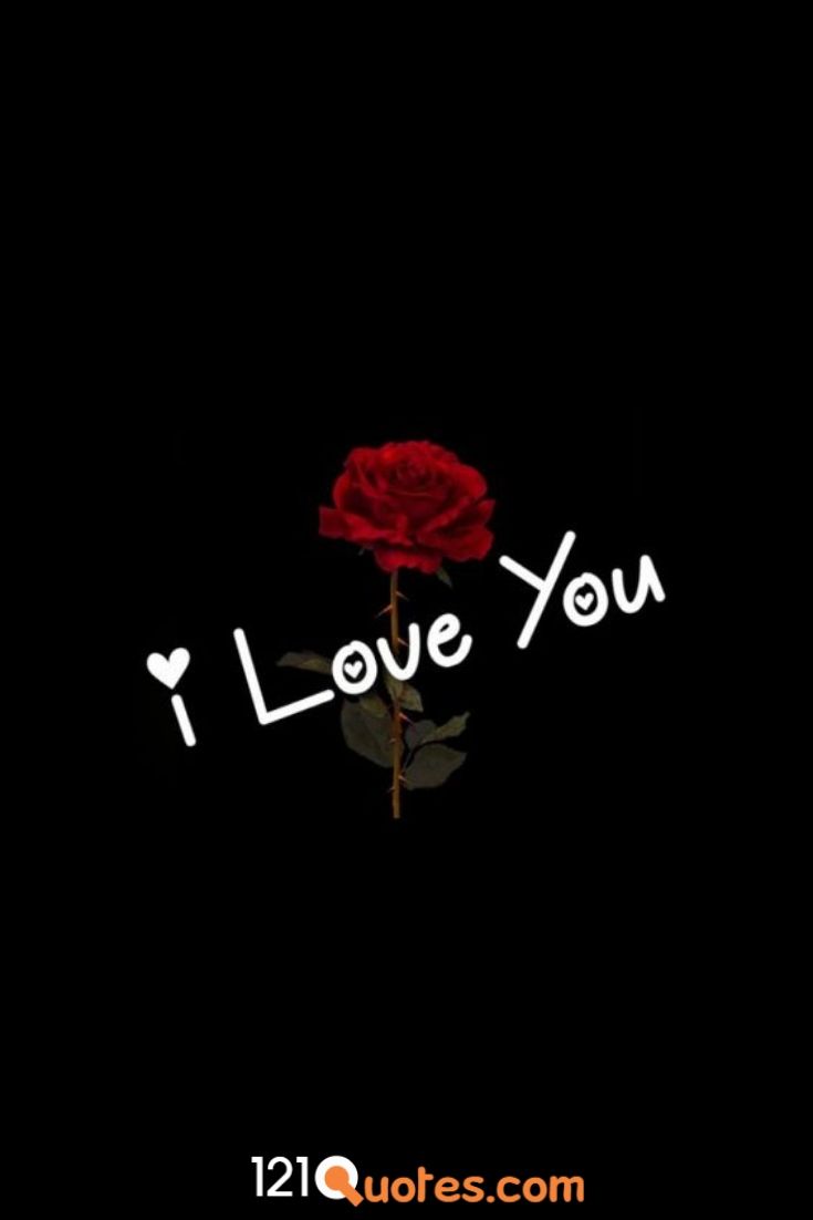 picture of red rose saying i love you
