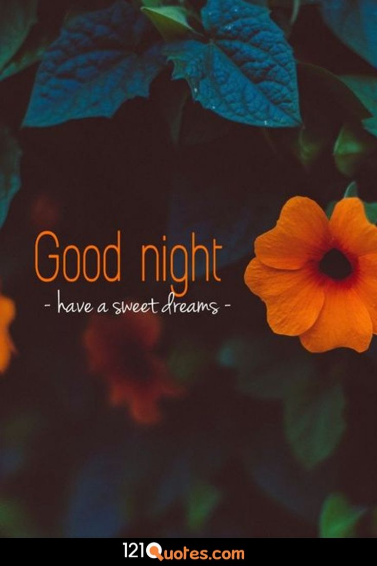 beautiful sweet dreams nature good night image