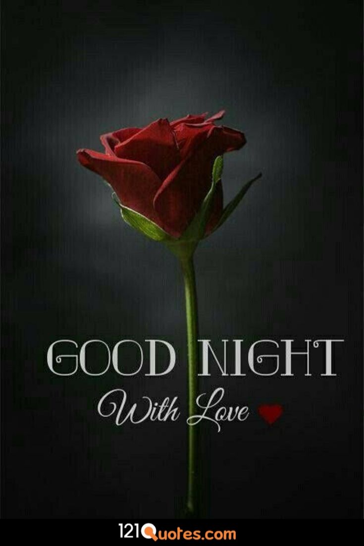 good night hd image with red rose