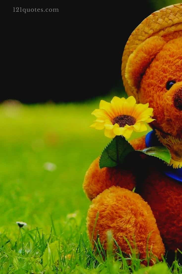 cute love teddy bear images