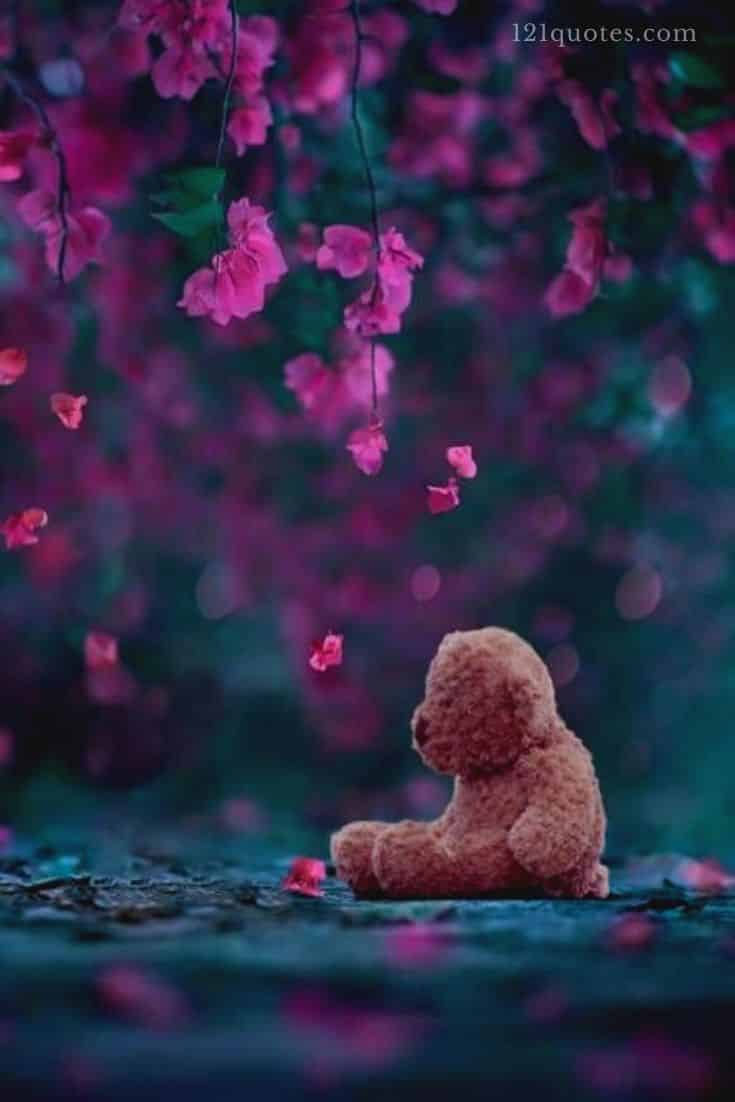 cute teddy bear images for facebook profile picture