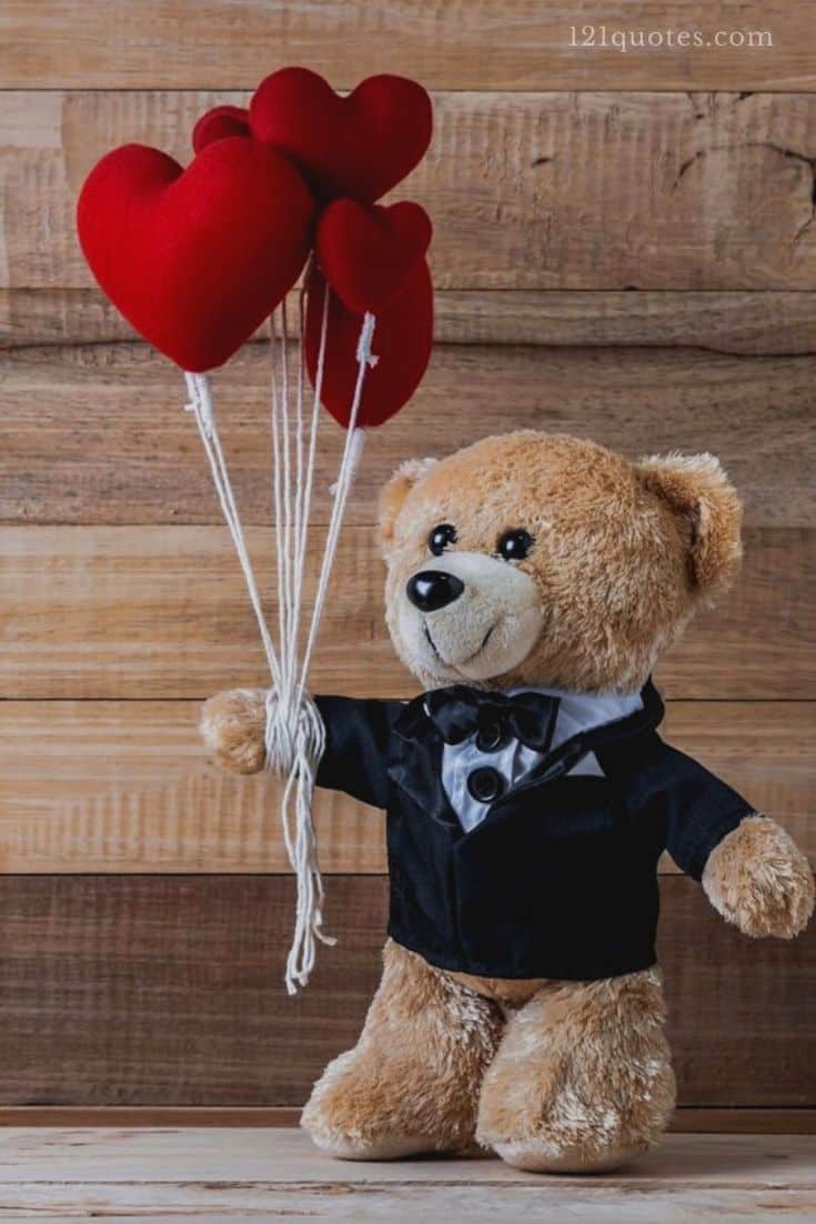 cute teddy bear images for whatsapp dp download