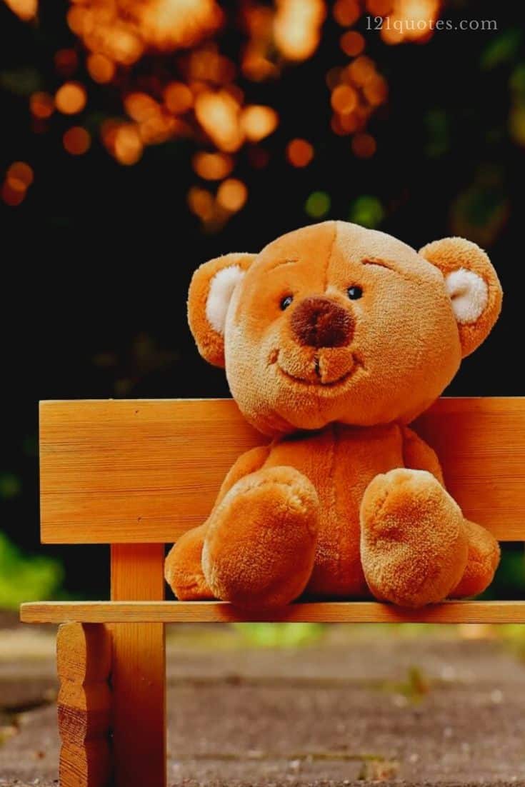 cute teddy bear images hd