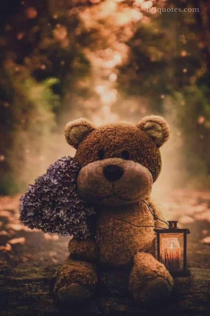 good morning teddy bear images for facebook
