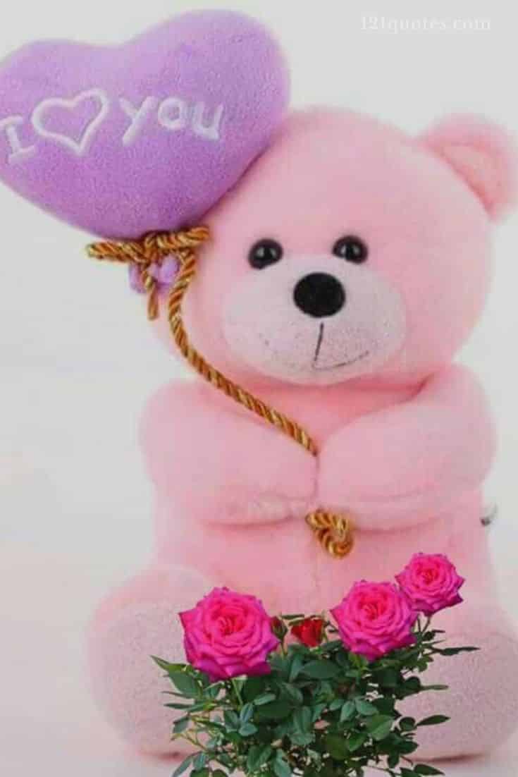 pink teddy bear images free download