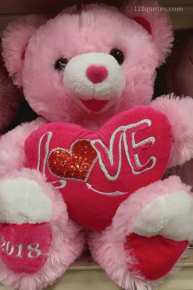 pink teddy bear images