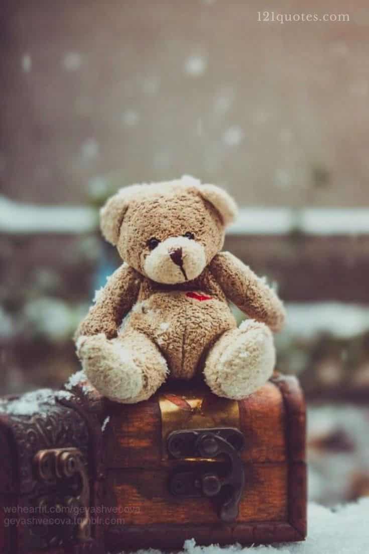 teddy bear images for facebook timeline cover