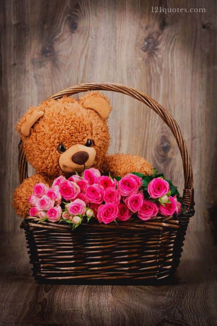 teddy bear images with roses