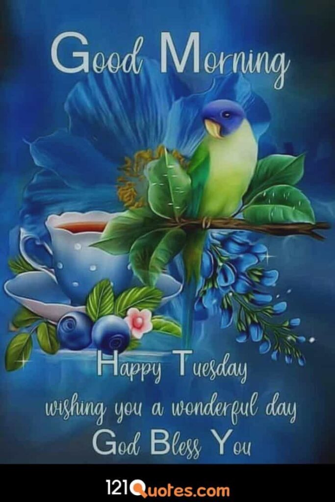 Good Morning Happy Tuesday Wallpaper and Images