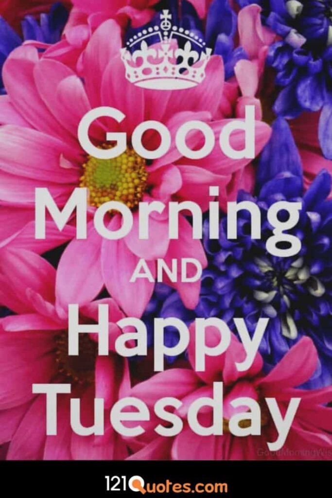 Good Morning and Happy Tuesday Wallpaper