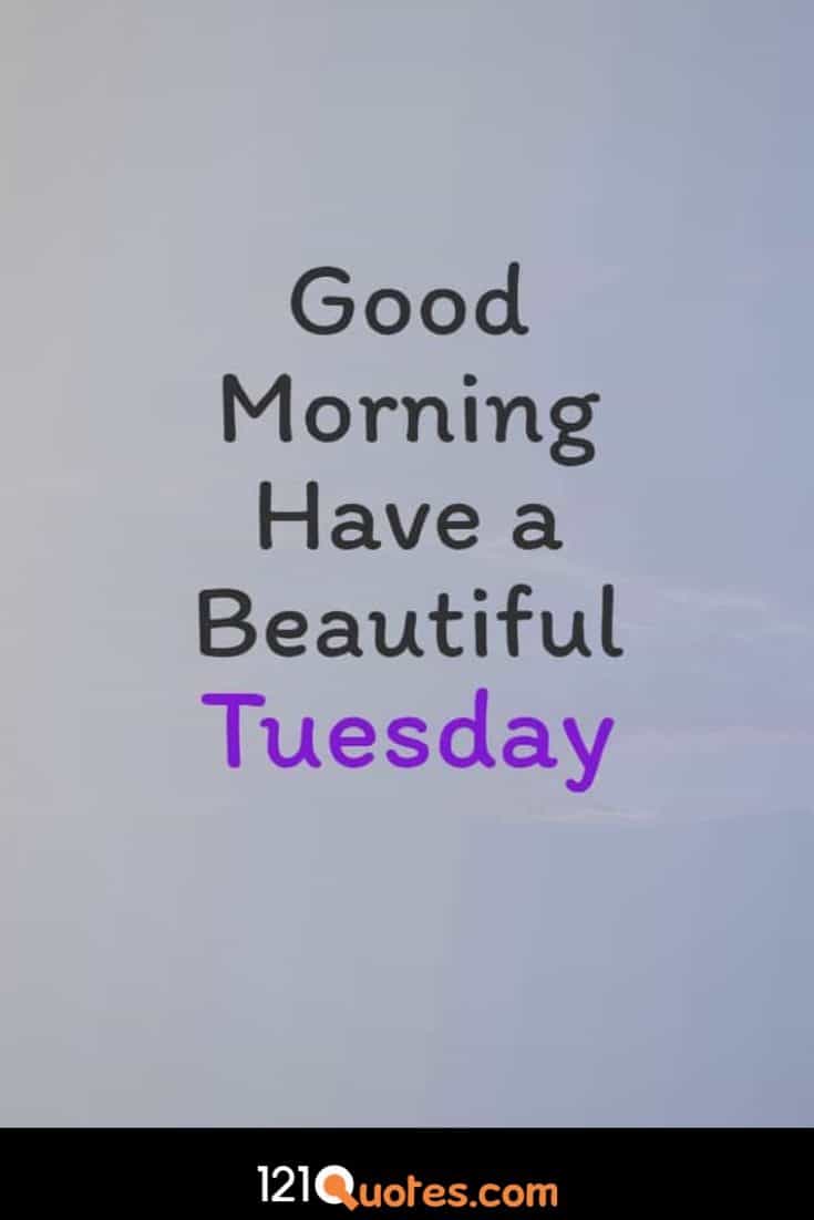 Good Morning have a Beautiful Tuesday Images Wallpaper and Greetings