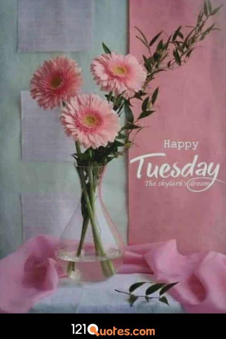 Happy Tuesday Wallpaper with Pink Flowers