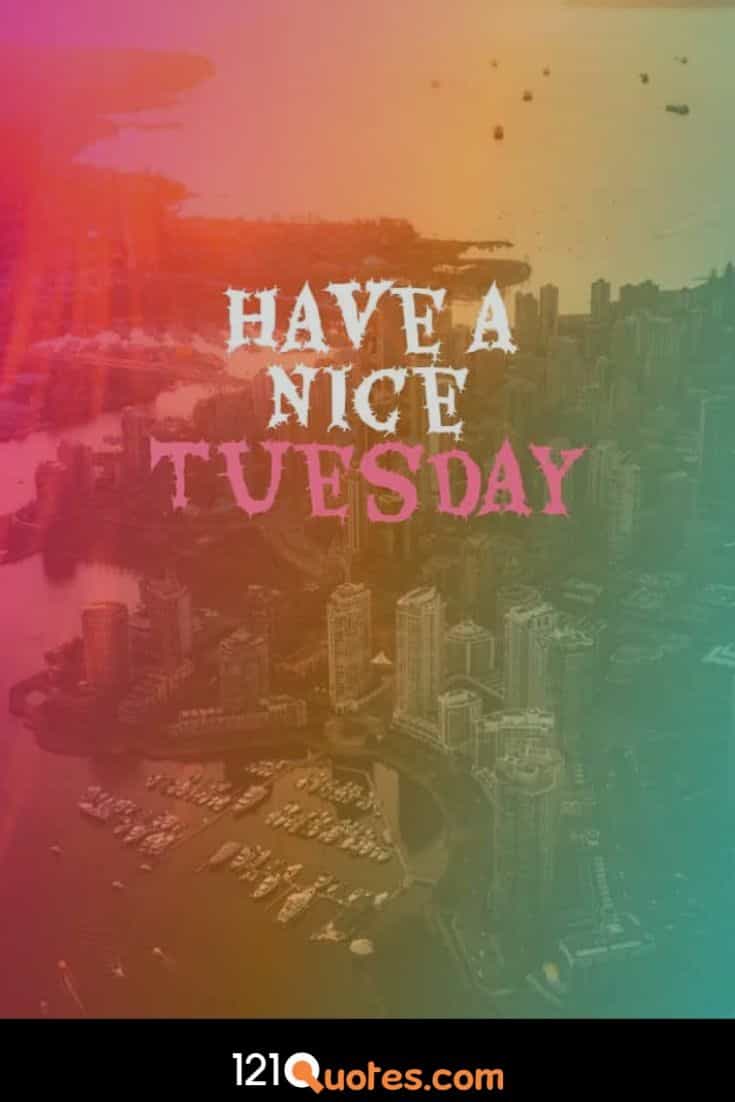 Have a Nice Tuesday Wallpaper with Beautiful Background Wallpaper