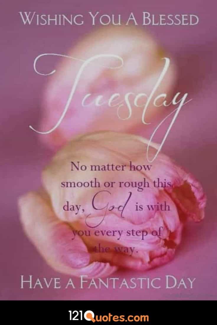 Wishing you a blessed Tuesday Wallpaper with Pink Rose