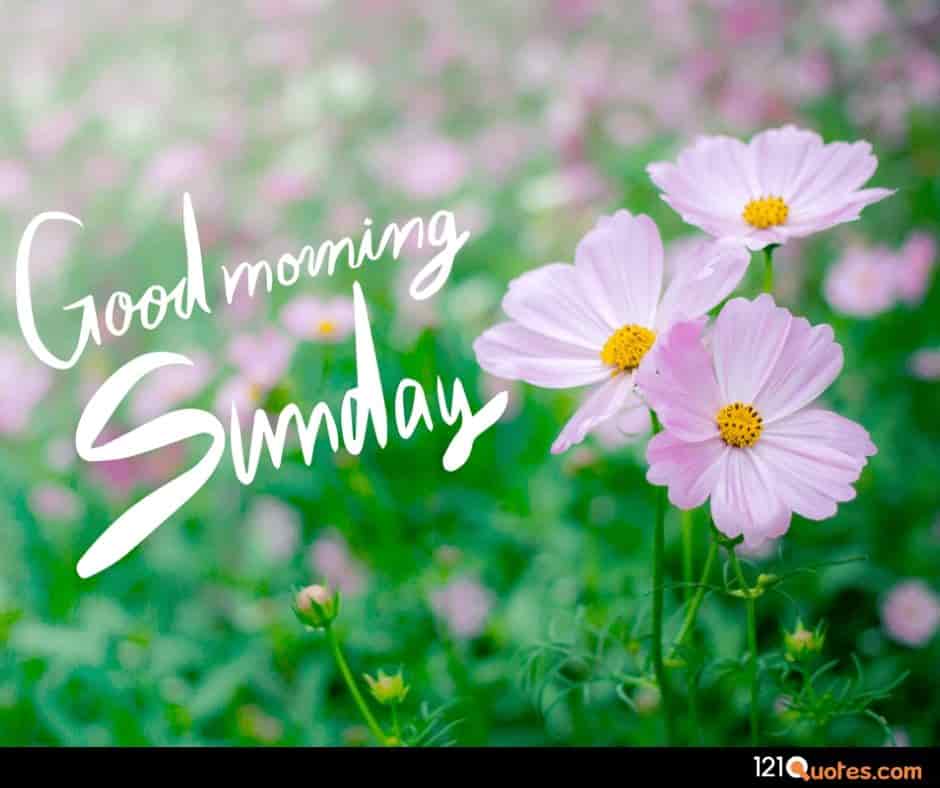good morning sunday images download hd