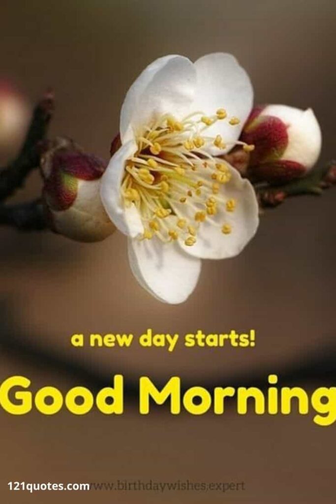 A new day starts Good Morning