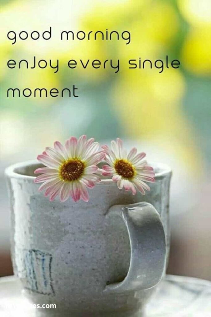 Good Morning Enjoy every single moment