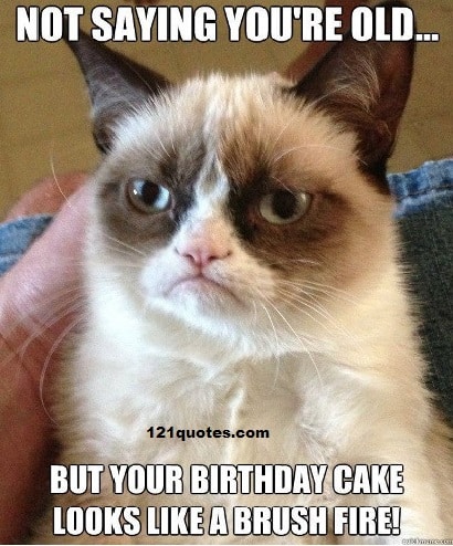 Grumpy Cat Funny Happy Birthday Meme