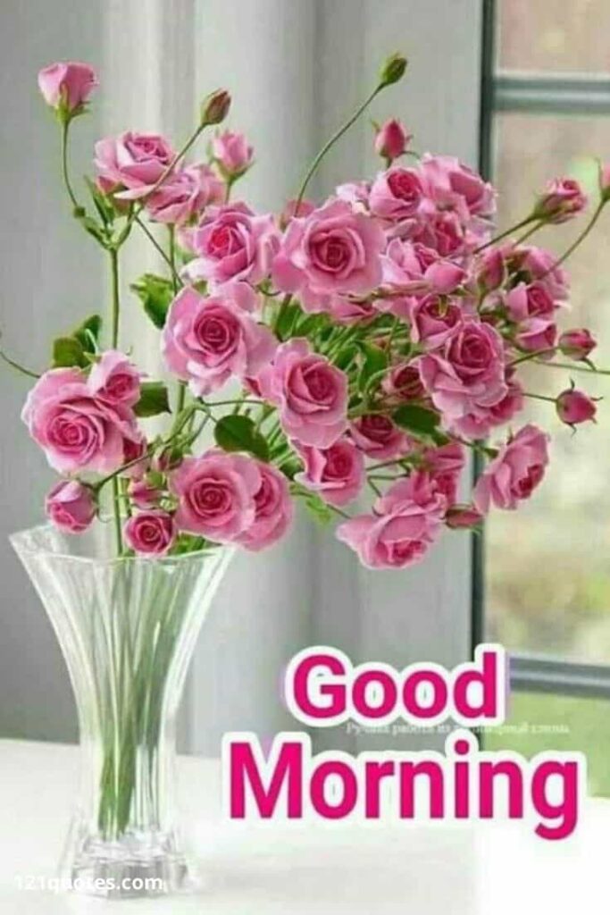 good morning flowers images free download for whatsapp video