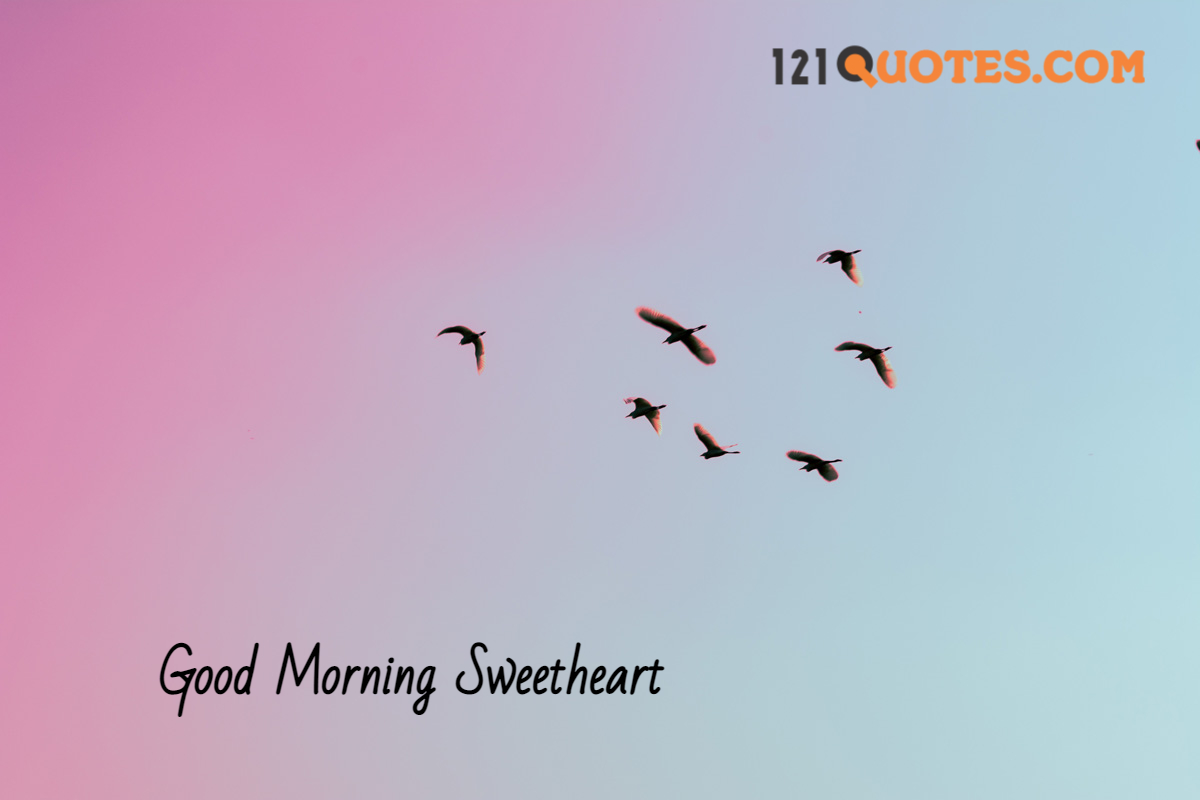 beautiful good morning pic with birds