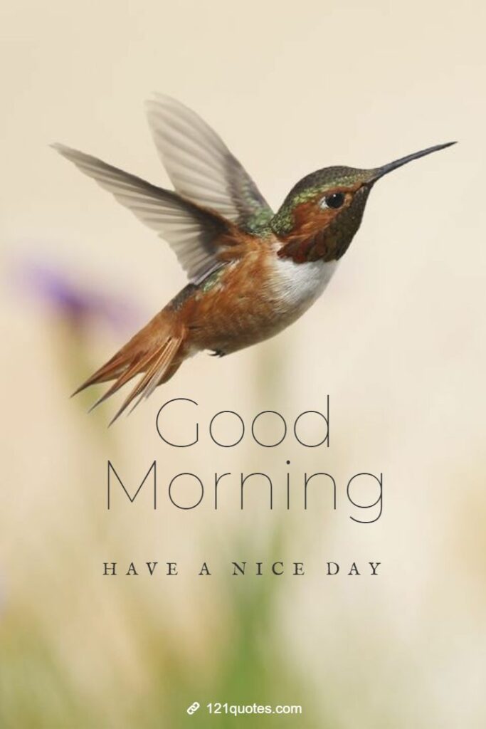 good morning wishes with bird images