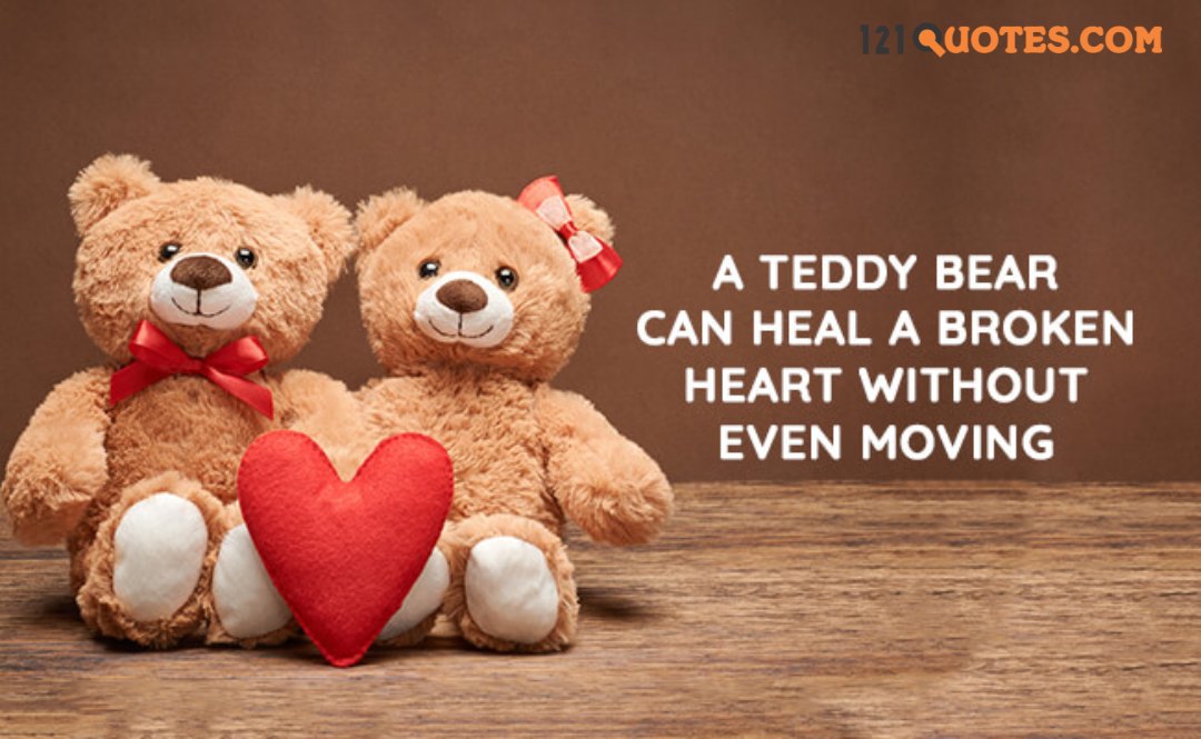 teddy images for dp