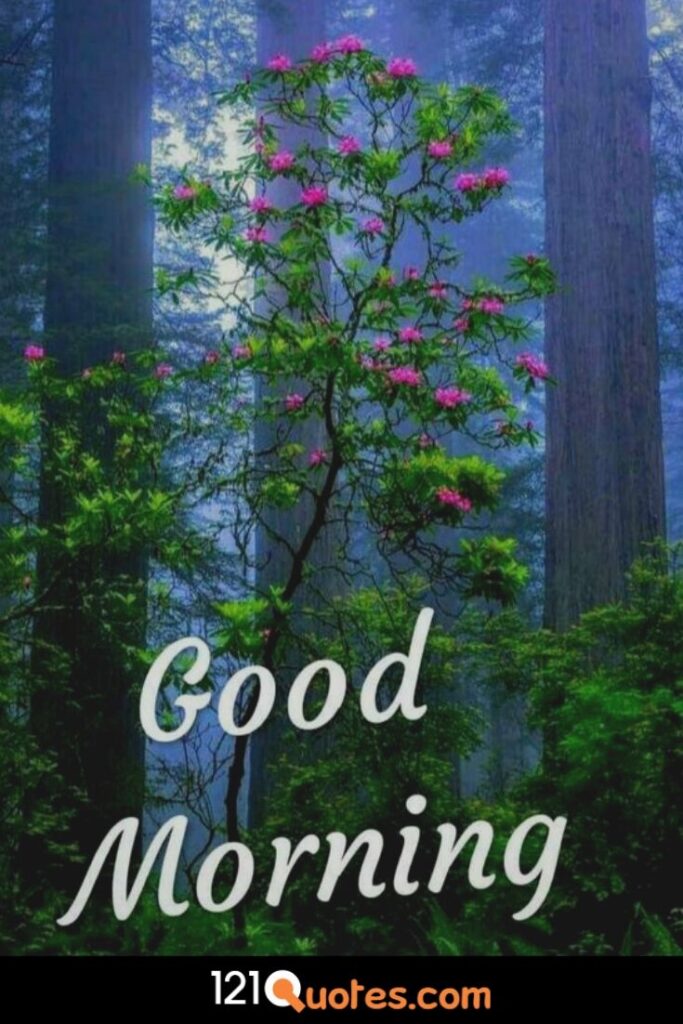 Good Morning Images Photo Picture Wallpaper Pics Download for Whatsapp & Facebook