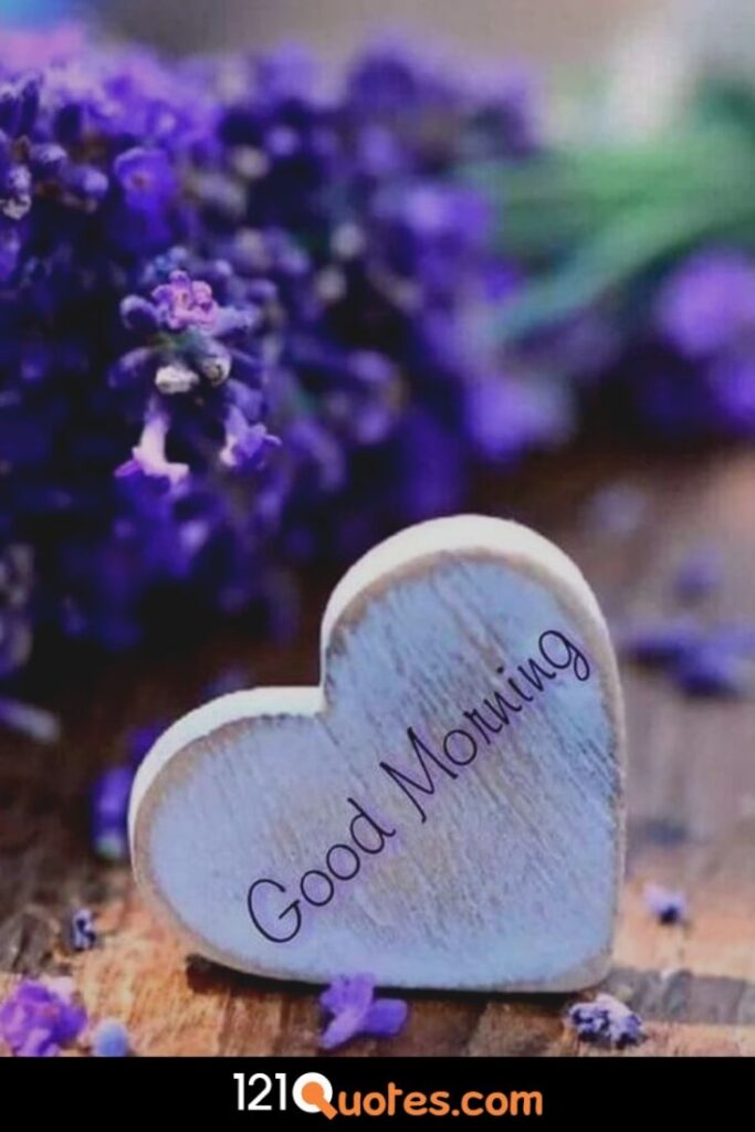 Good Morning Images Wallpaper Photo Pics Download With Flower In HD for Whatsapp & Facebook