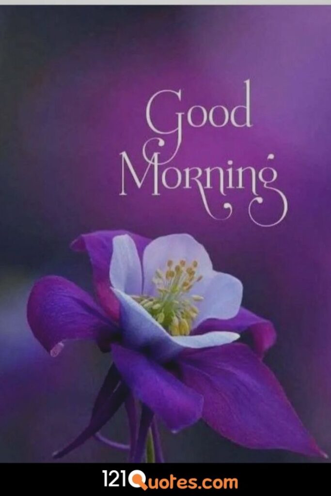 Good Morning Images Wallpaper Pics Download for Best Friends In HD Share With friend Latest HD New