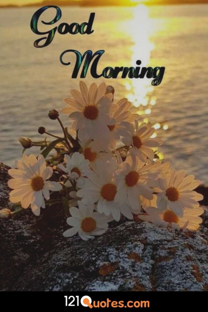 Good Morning Images Wallpaper photo Pics HD Download for Whatsapp & Facebook