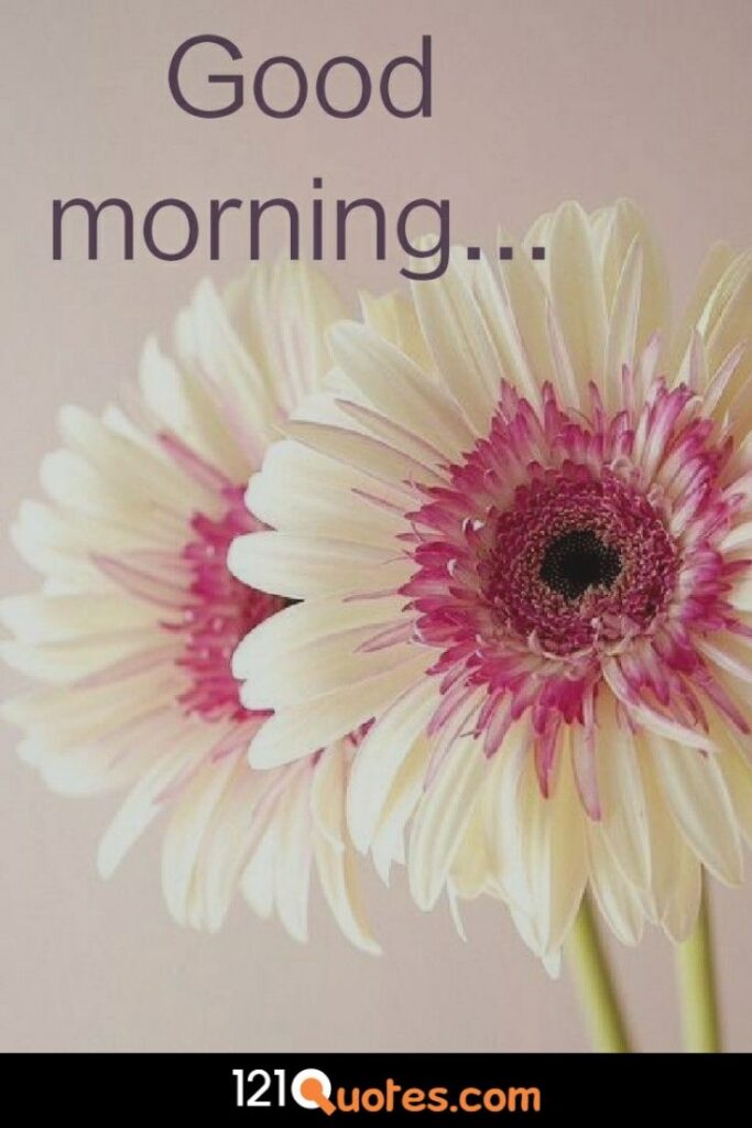 100 Good Morning Images With Flowers To Brighten Her Day