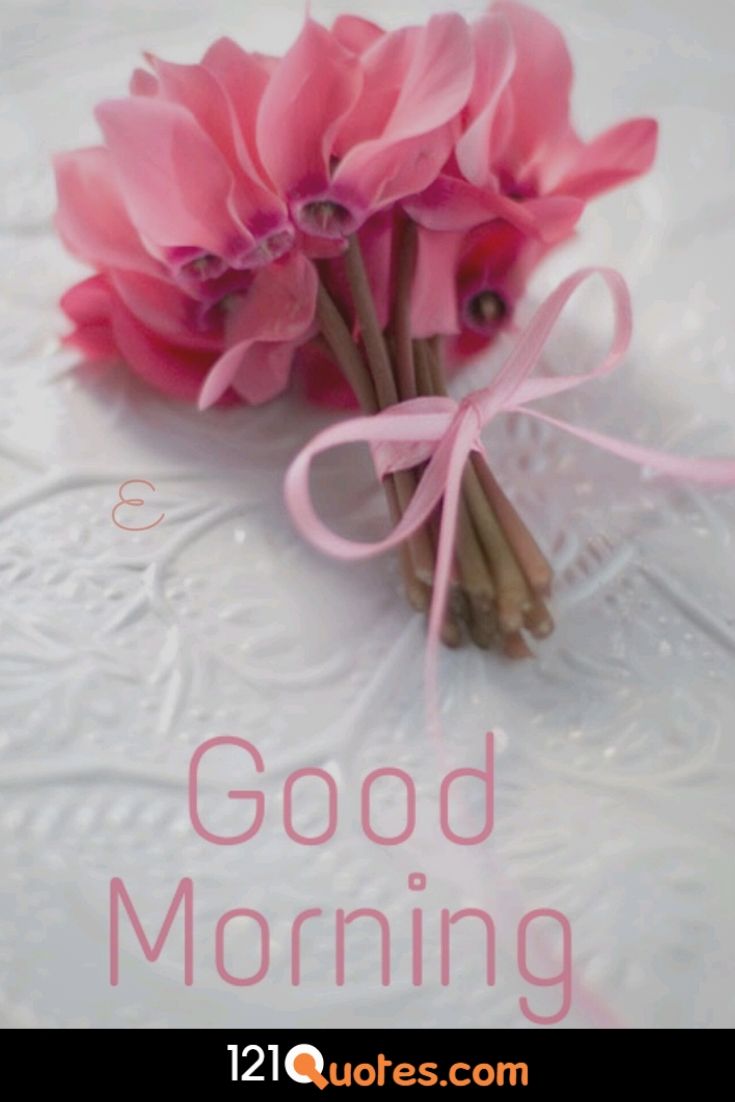 Good Morning images with Pink Flower