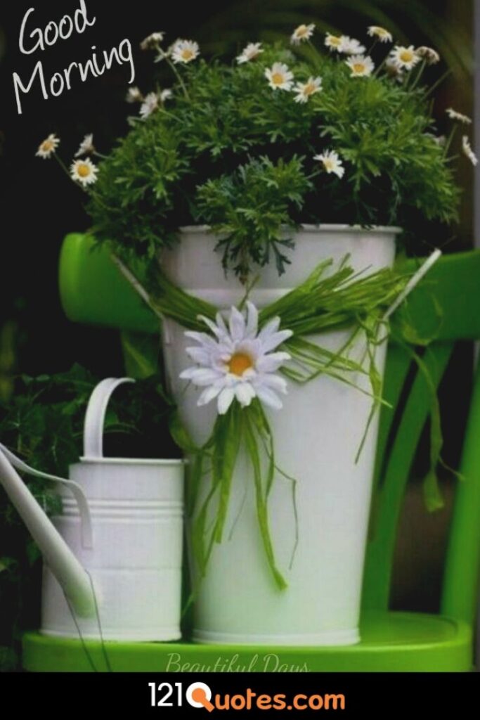 Good Morning images with flower pot