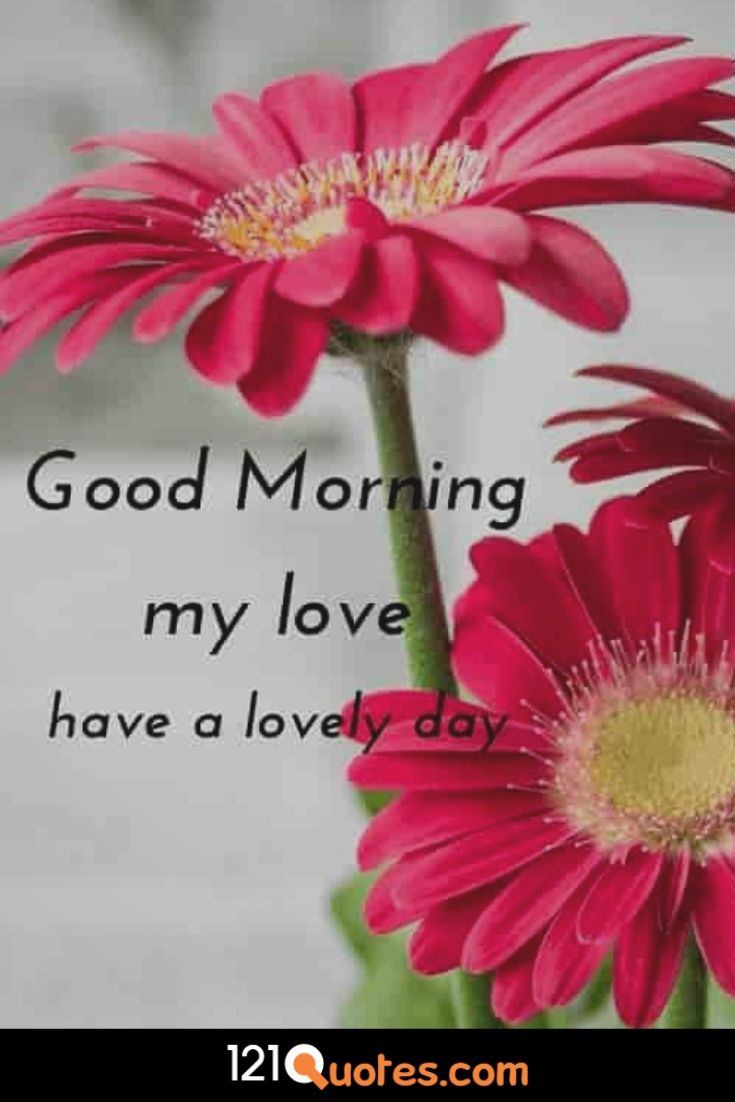 Featured image of post Good Morning My Love Images Hd / Start the day off full of love!