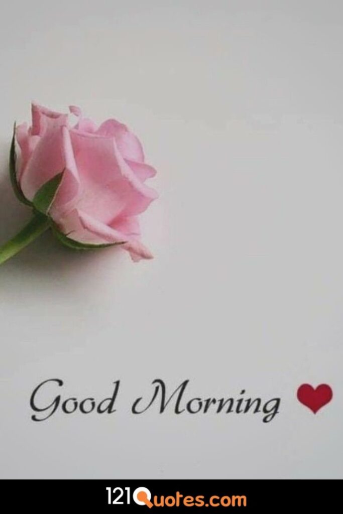 Good morning pic with pink rose and heart emoji for free download in HD
