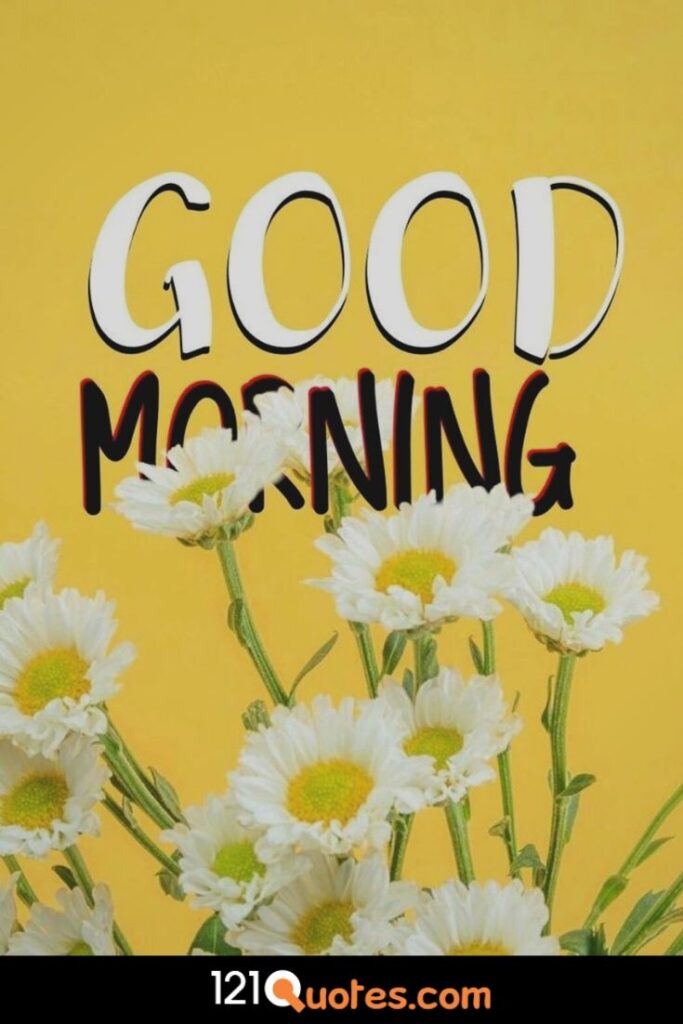 good morning flower image