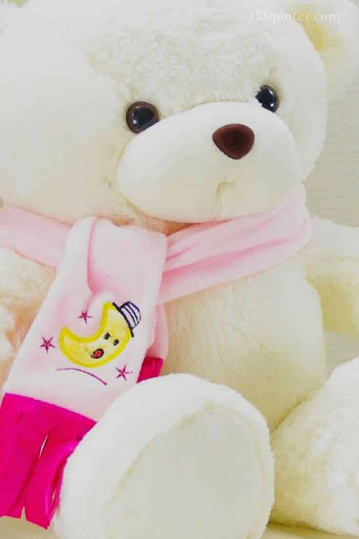 whatsapp dp cute teddy bear