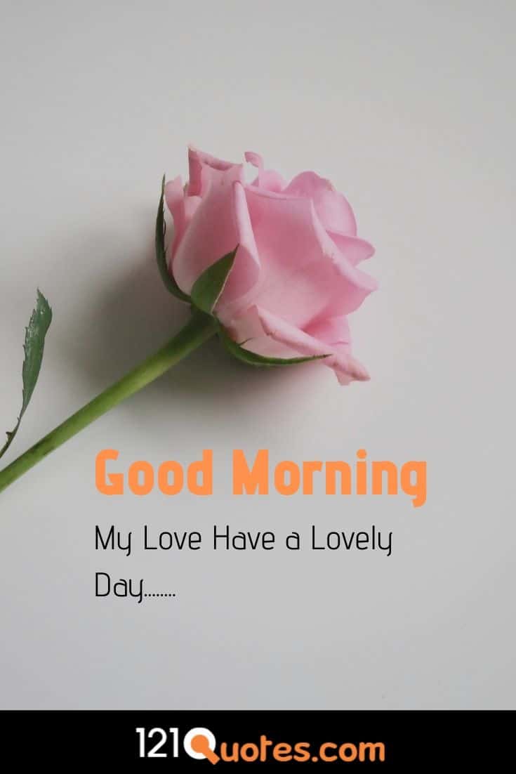 good morning images with pink rose