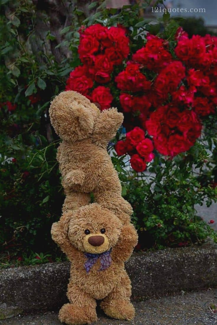 whatsapp dp cute teddy bear