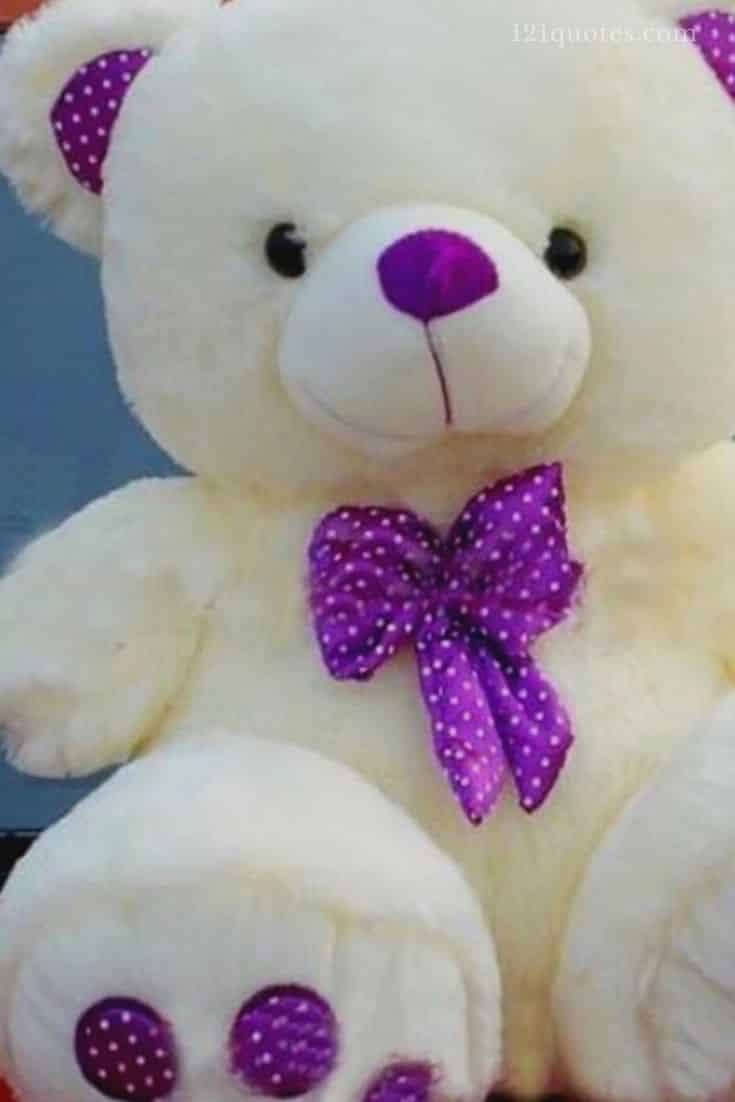 very beautiful teddy bear