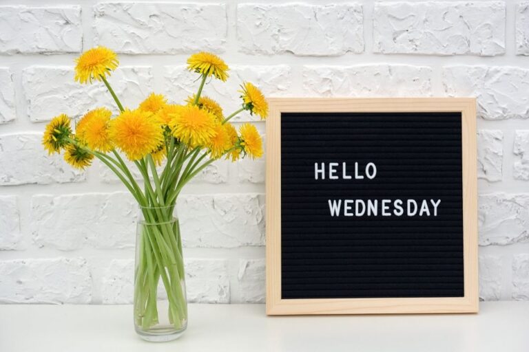 Good Morning Wednesday Quotes