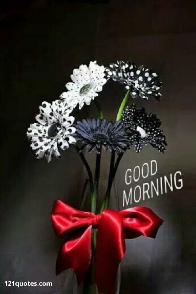 good morning images flowers