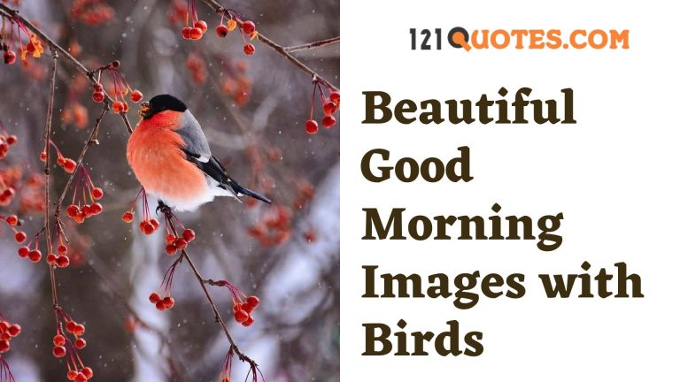 Beautiful Good Morning Images with Birds