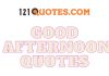 Good Afternoon Quotes For Friends With Images Good Afternoon Quotes