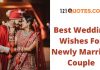Top 100+ Best Wedding Wishes For Newly Married Couple Best Wedding Wishes For Newly Married Couple