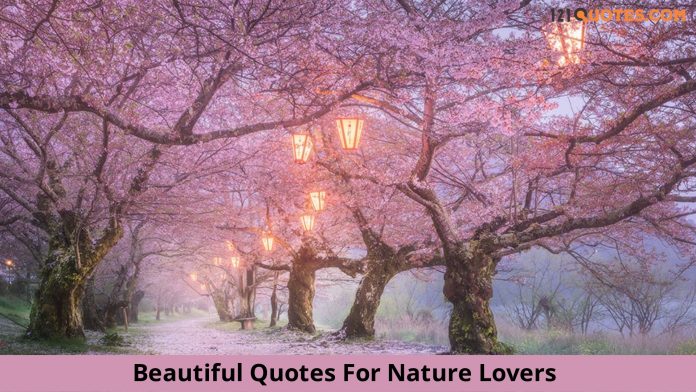 Beautiful Quotes For Nature Lovers