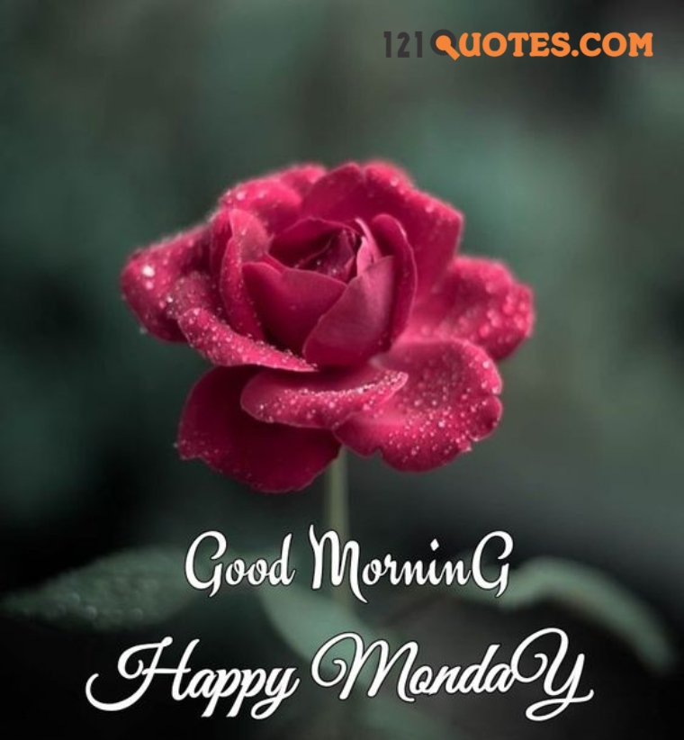 40+ Hello Good Morning Images Collection | Free Download