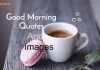 100+ Good Morning Quotes In Hindi, English Messages Wishes & HD Images 2022 Good Morning Quotes